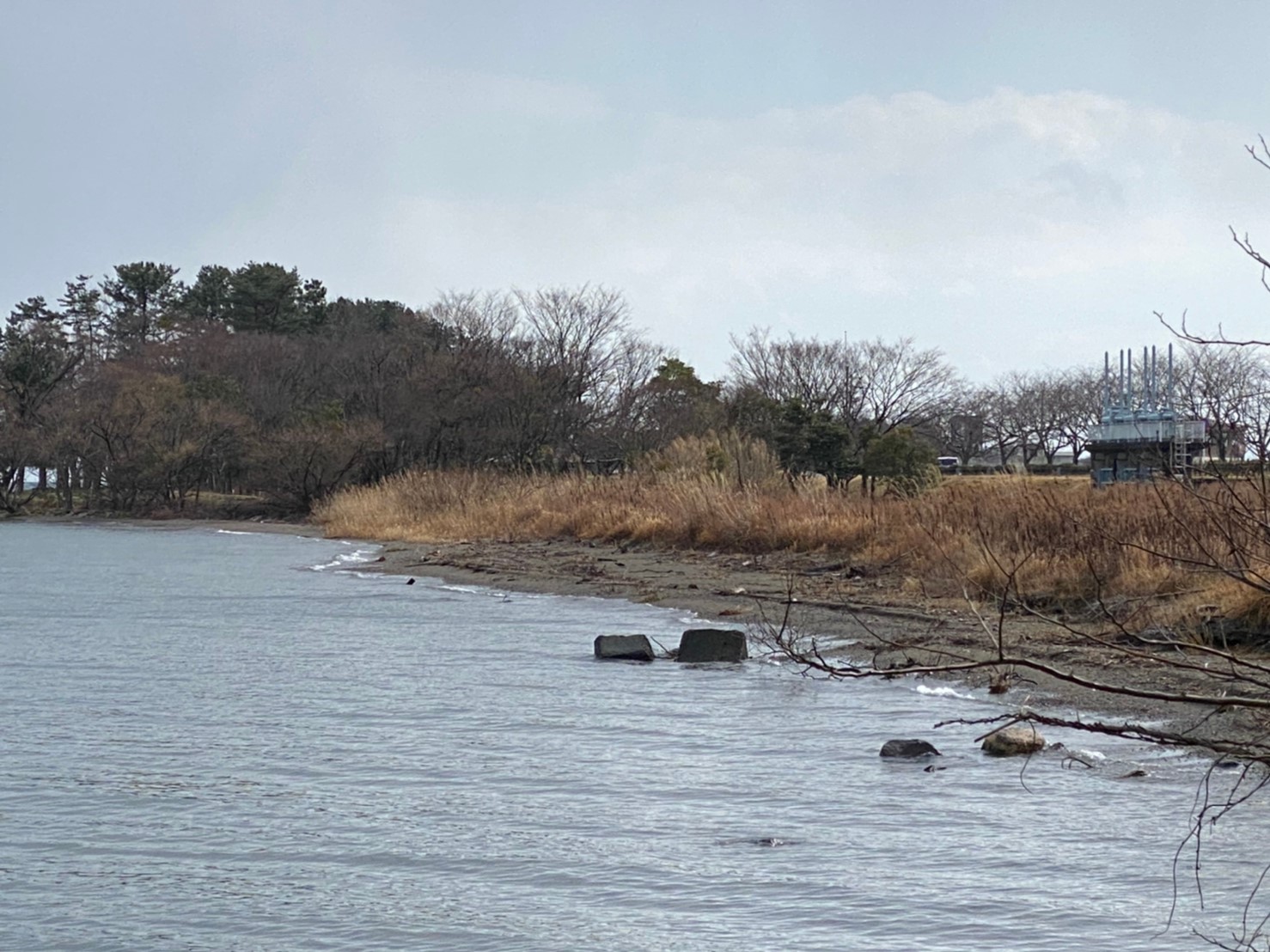 【琵琶湖西エリア】『高島市 STAGEX高島』の釣り場ガイド