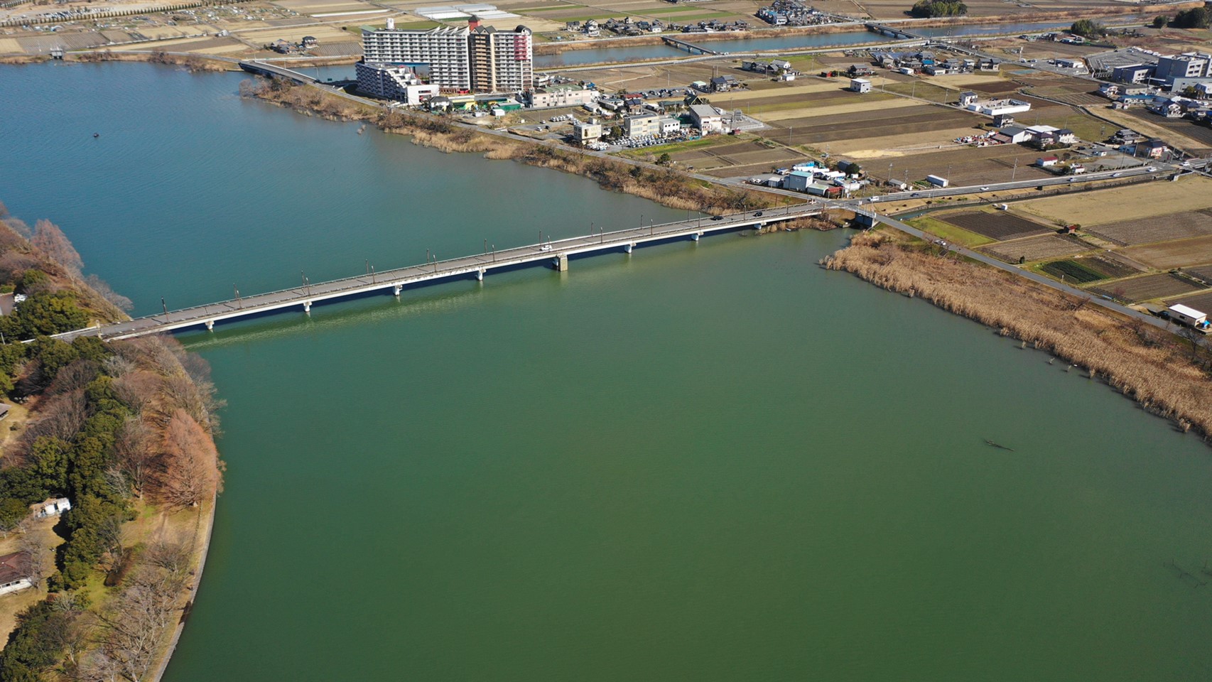 琵琶湖南エリア 草津市 矢橋帰帆島公園 周辺の釣り場ガイド 駐車場 釣れる魚 琵琶湖釣りwalker