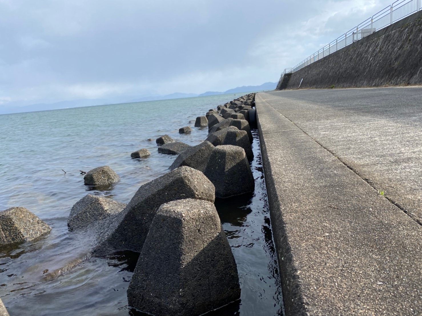 琵琶湖 高島市 乙女ヶ池 周辺の釣り場ガイド 駐車場 釣れる魚 琵琶湖釣りwalker