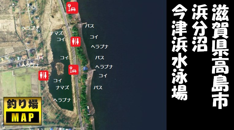 【琵琶湖西 高島市】『浜分沼・今津浜水泳場』の釣り場ガイド（駐車場・釣れる魚）