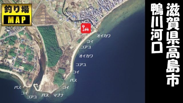【琵琶湖西 高島市】『鴨川河口』周辺の釣り場ガイド（駐車場・釣れる魚）