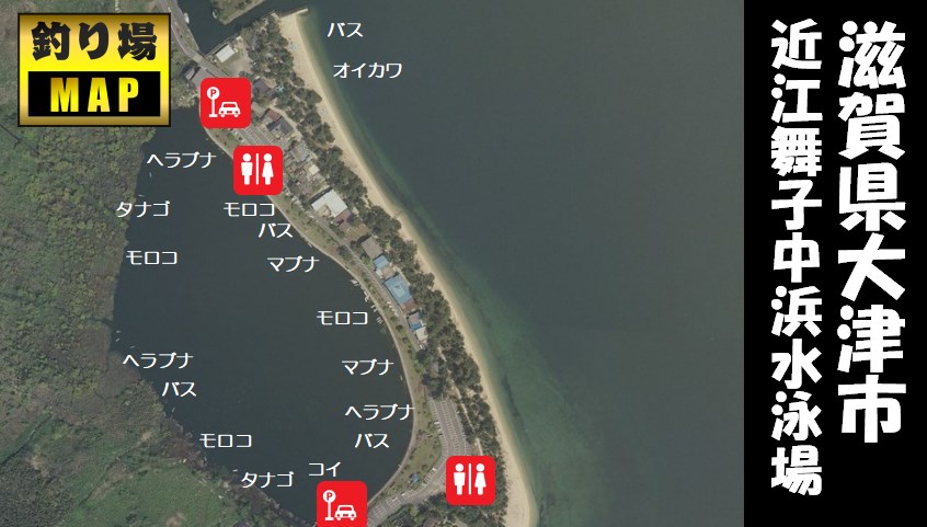 【琵琶湖西 大津市】『近江舞子中浜水泳場』の釣り場ガイド（駐車場・釣れる魚）