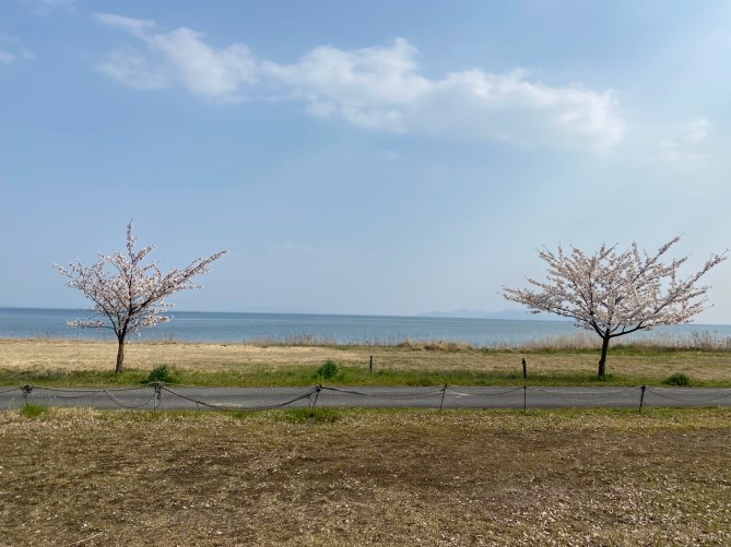 【滋賀県高島市】『松ノ木内湖』の釣り場ガイド（釣れる魚・駐車場）