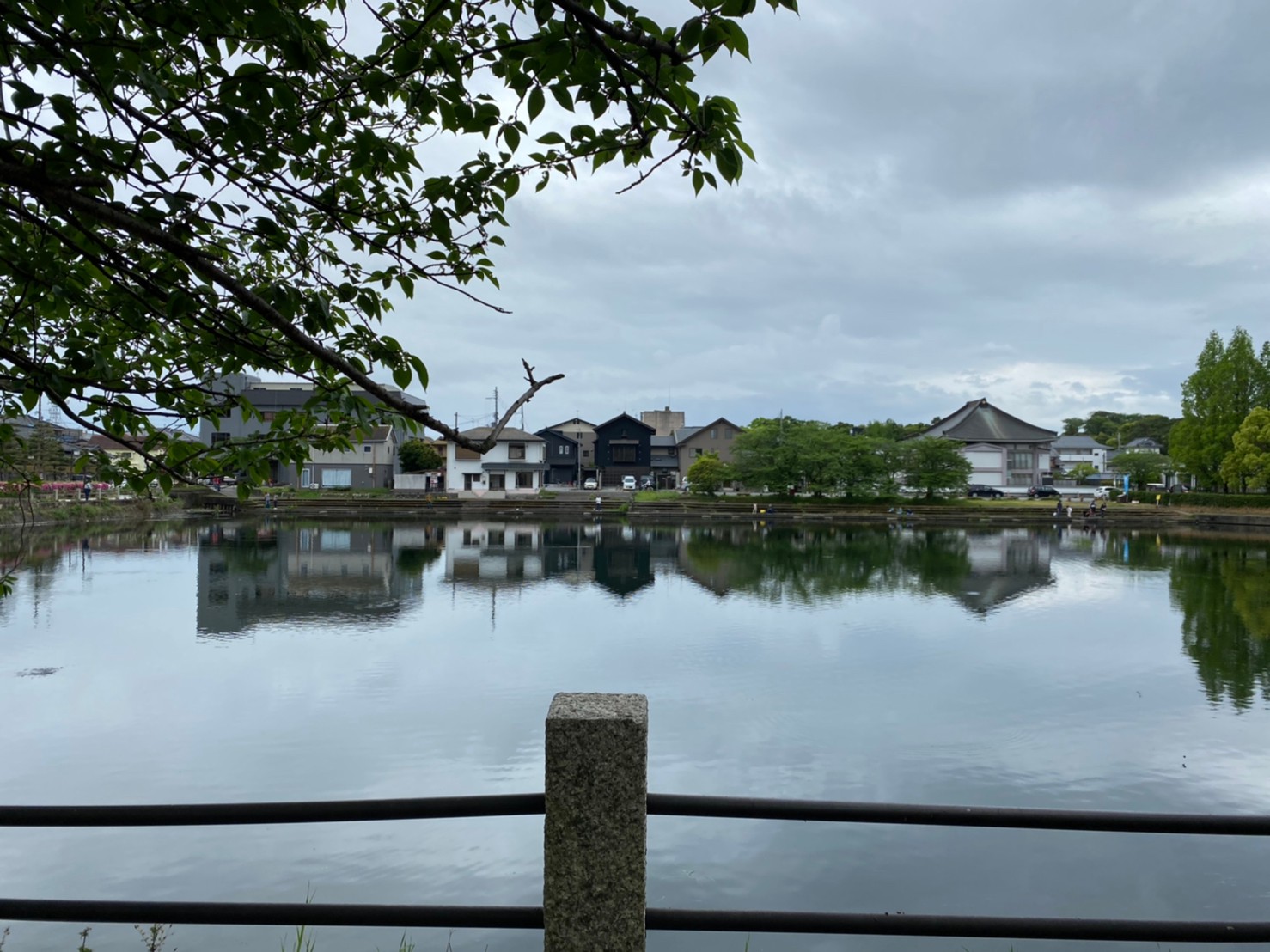 彦根城近く 旧彦根港 周辺の釣り場ガイド 釣れる魚 駐車場 トイレ 琵琶湖釣りwalker