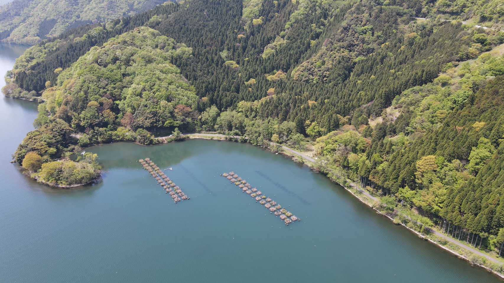 琵琶湖北 長浜市 月出エリア の釣り場ガイド 釣れる魚 駐車場 トイレ 琵琶湖釣りwalker