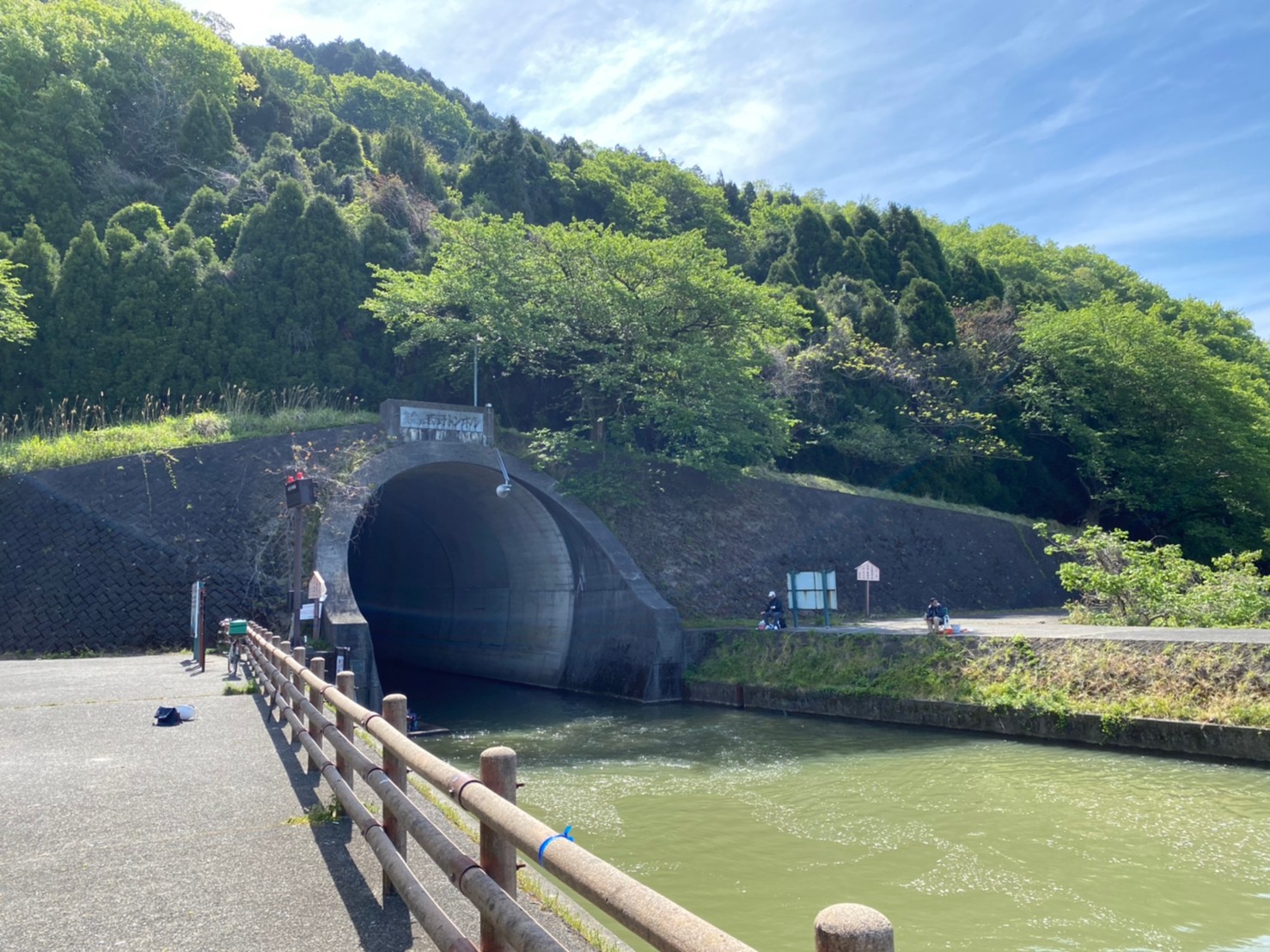 琵琶湖北 長浜市 西野放水路 の釣り場ガイド 釣れる魚 駐車場 トイレ 琵琶湖釣りwalker