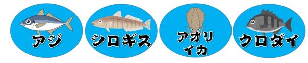 【南伊豆｜下田市】『須崎港』の釣り場ガイド（釣れる魚・駐車場・トイレ）