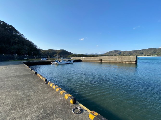 【南伊豆町】『弓ヶ浜海水浴場・青野川』周辺の釣り場ガイド（釣れる魚・駐車場）