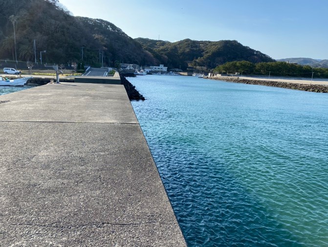 【南伊豆町】『弓ヶ浜海水浴場・青野川』周辺の釣り場ガイド（釣れる魚・駐車場）