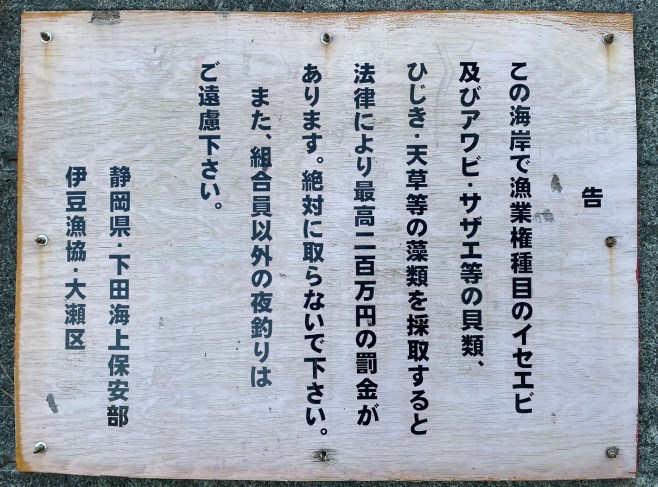 【南伊豆町】『大瀬漁港』の釣り場ガイド（釣れる魚・駐車場・トイレ）