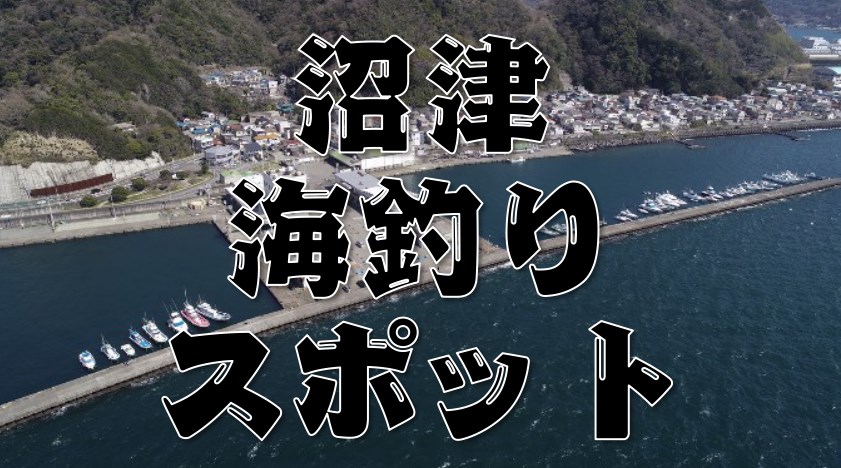 永久保存版 静岡県沼津市 のおすすめ海釣り16スポットまとめ 伊豆釣りwalker