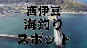 【永久保存版】『西伊豆町・伊豆市のエリア』のおすすめ海釣り15スポットまとめ