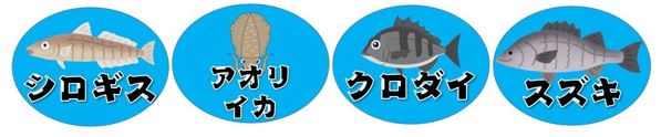 【西伊豆｜松崎町】『松崎海岸付近』の釣り場ガイド（釣れる魚・駐車場）