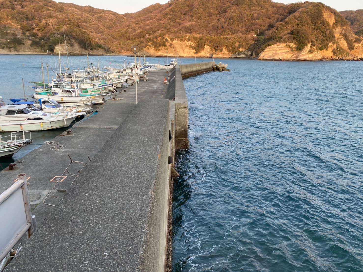 【南伊豆町】『子浦海水浴場付近』の釣り場ガイド（釣れる魚・駐車場）