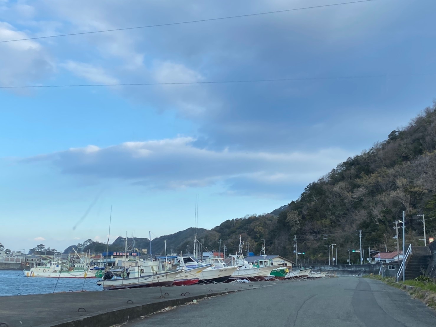 【西伊豆町】『仁科漁港付近｜にしなぎょこう』の釣り場ガイド（釣れる魚・駐車場）