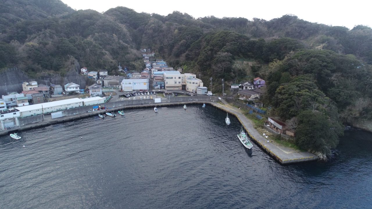 【西伊豆町】『田子漁港｜たごぎょこう』の釣り場ガイド（釣れる魚・駐車場）