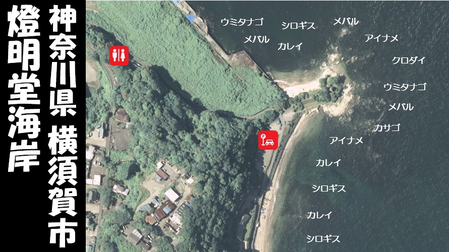 神奈川県横須賀市 燈明堂海岸 とうみょうどう の海釣りガイド 釣れる魚 駐車場 トイレ 関東釣りwalker