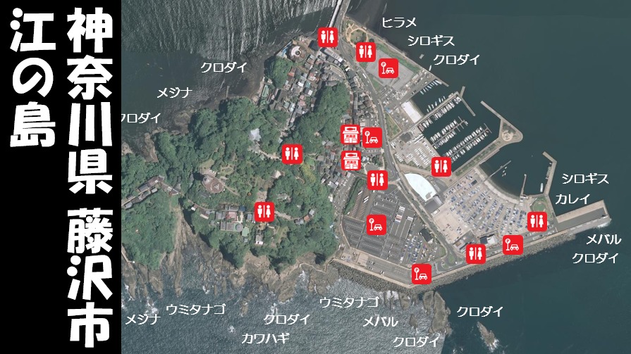 神奈川県藤沢市 江の島 の海釣りガイド 釣れる魚 駐車場 トイレ 関東釣りwalker 神奈川県藤沢市 江の島 の海釣りガイド 釣れる魚 駐車場 トイレ 関東釣りwalker