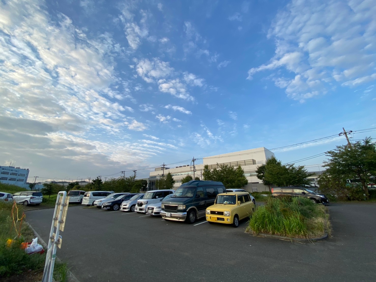 神奈川県横浜市】『杉田臨海緑地』の海釣りガイド（釣れる魚・駐車場・トイレ）｜関東釣りWALKER