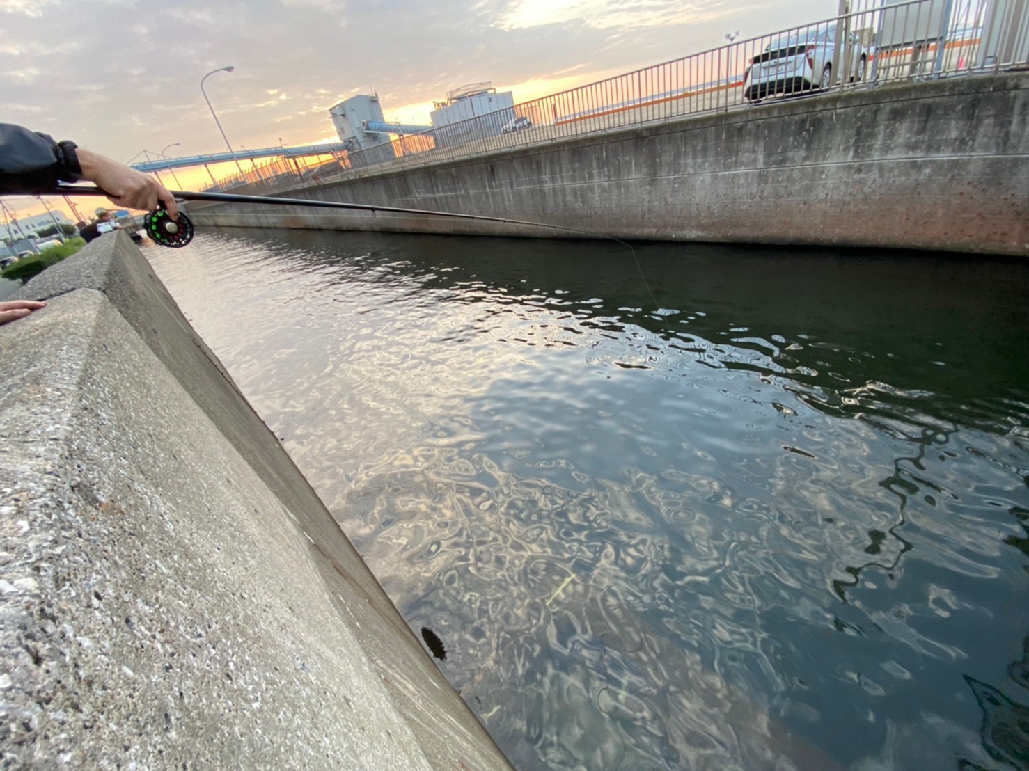 神奈川県横浜市 磯子海づり施設 の海釣りガイド 釣れる魚 駐車場 トイレ 関東釣りwalker