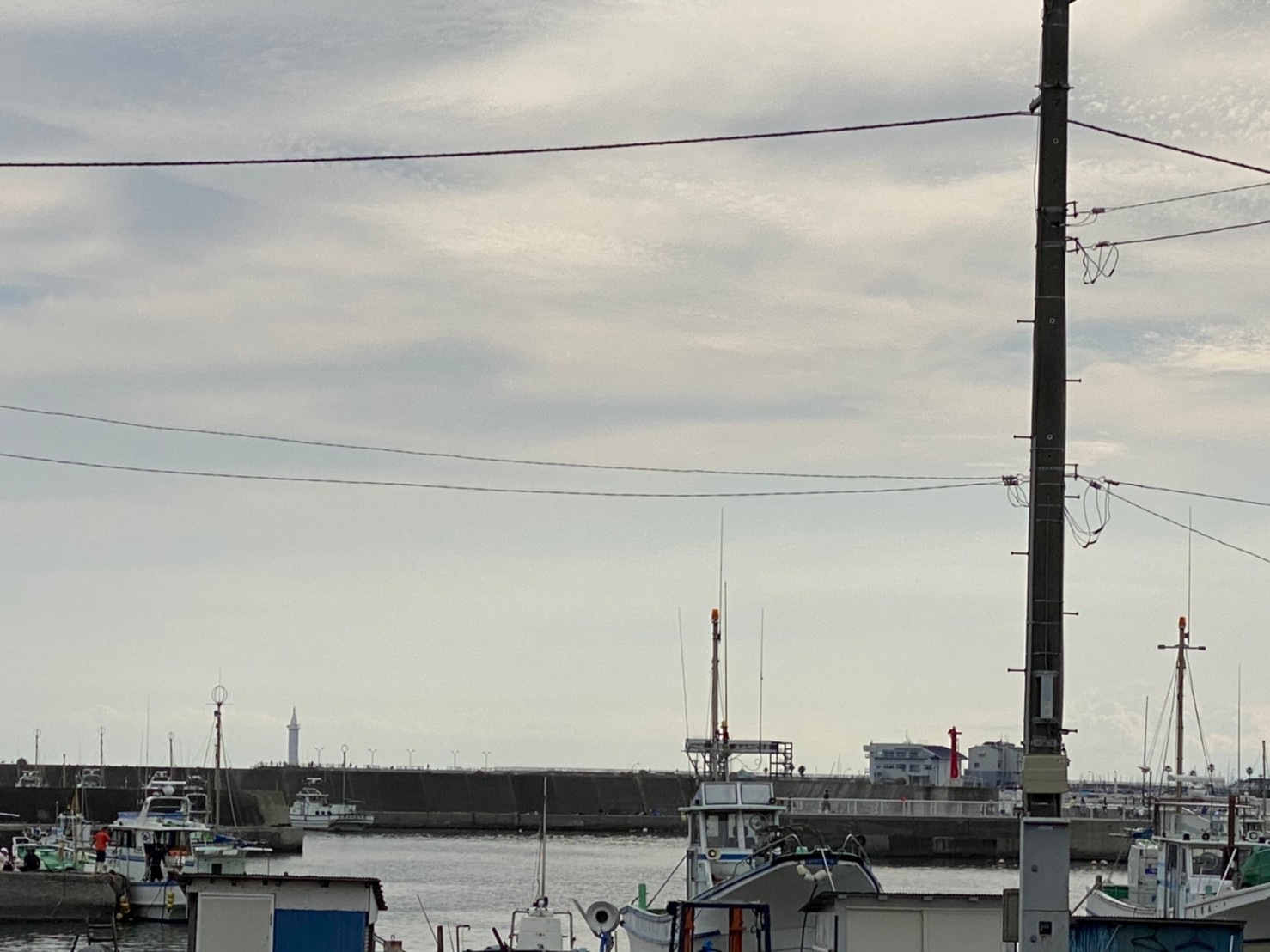 【神奈川県鎌倉市】『腰越港』の海釣りガイド（釣れる魚・駐車場・トイレ）