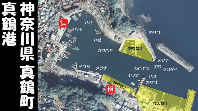 【神奈川県真鶴町】『真鶴港』の海釣りガイド（釣れる魚・駐車場・トイレ）