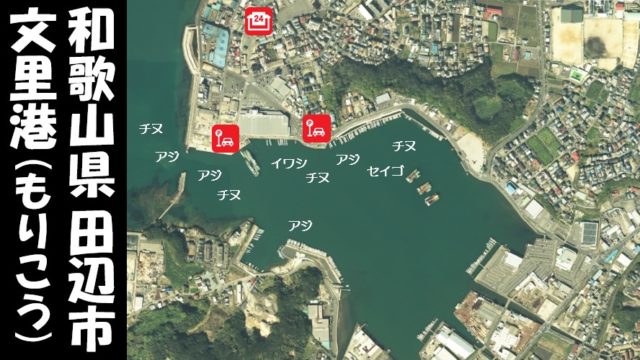 保存版 和歌山県 田辺市 おすすめ海釣りスポット11選 釣れる魚 アクセス 和歌山釣りwalker