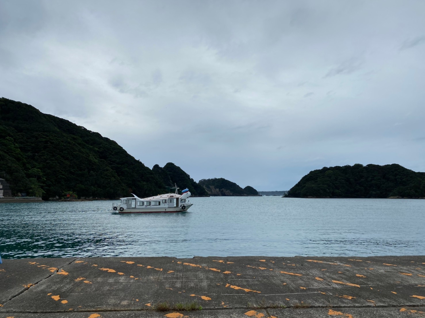 和歌山県那智勝浦町 勝浦港 の海釣りガイド 釣れる魚 駐車場 トイレ 和歌山釣りwalker