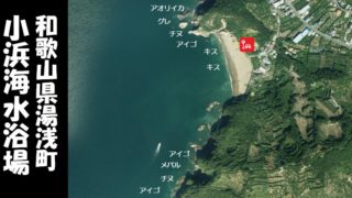 【和歌山県湯浅町】『小浜海水浴場』のおすすめ海釣りガイド（釣れる魚・駐車場）