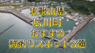 【保存版】和歌山県広川町のおすすめ海釣りスポット3選