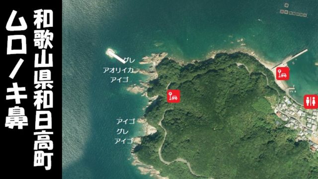 【和歌山県日高町】『ムロノキ鼻』の海釣りガイド（釣れる魚・渡し船・トイレ）