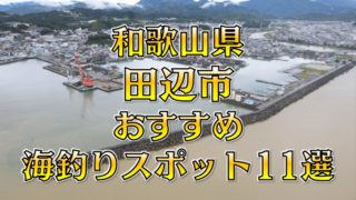 和歌山県「田辺市」おすすめ海釣りスポット11選