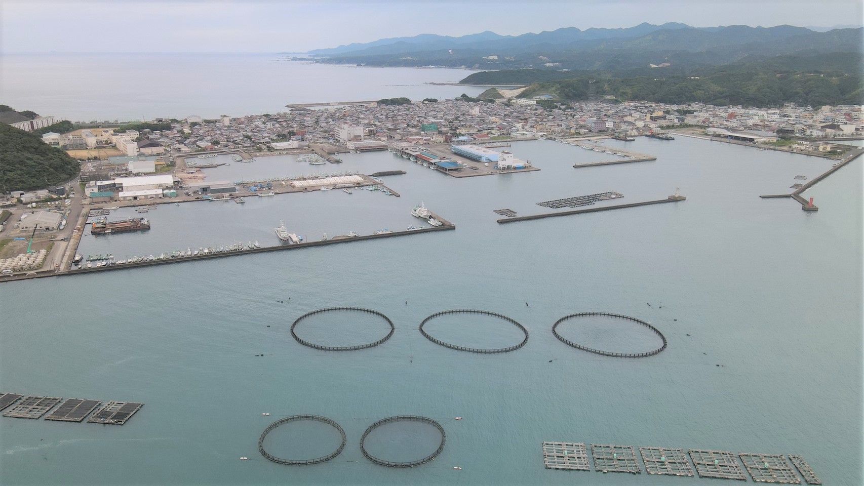 【和歌山県串本町】『串本漁港』の海釣りガイド（釣れる魚・駐車場・トイレ）