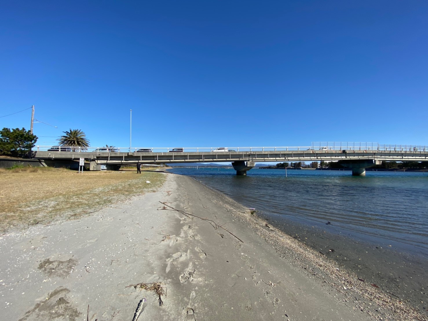 浜名湖南部 中之島大橋 浜名湖大橋 周辺の釣り場ガイド 釣れる魚 駐車場 コンビニ 東海釣りwalker