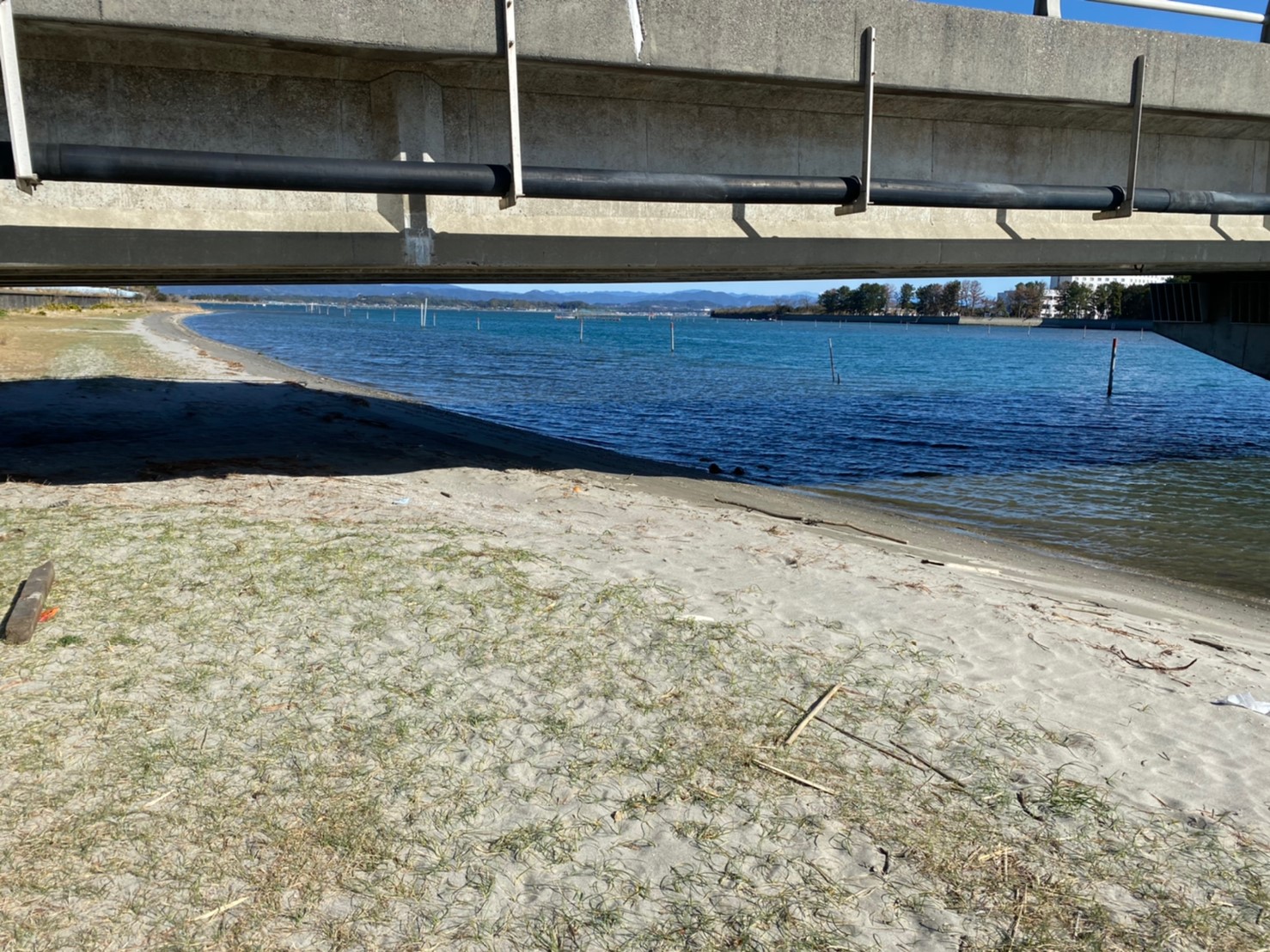 浜名湖南部 中之島大橋 浜名湖大橋 周辺の釣り場ガイド 釣れる魚 駐車場 コンビニ 東海釣りwalker