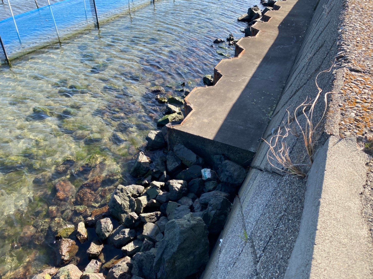 浜名湖 渚園キャンプ場 周辺の釣り場ガイド アクセス 釣れる魚 トイレ 駐車場 東海釣りwalker