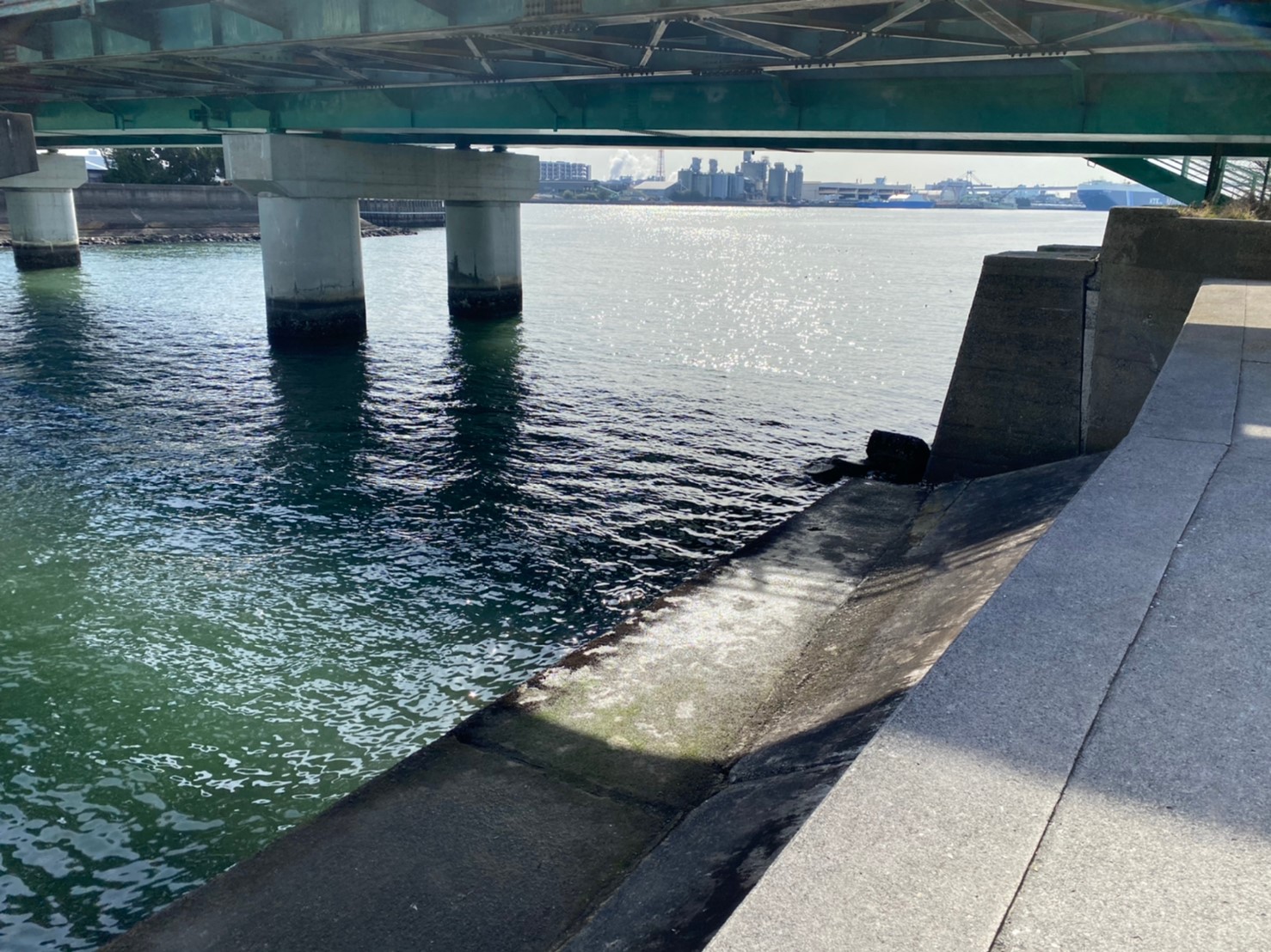 年中釣れる 名古屋市 船見埠頭 ふなみふとう の釣り場ガイド 駐車場 釣れる魚 東海釣りwalker