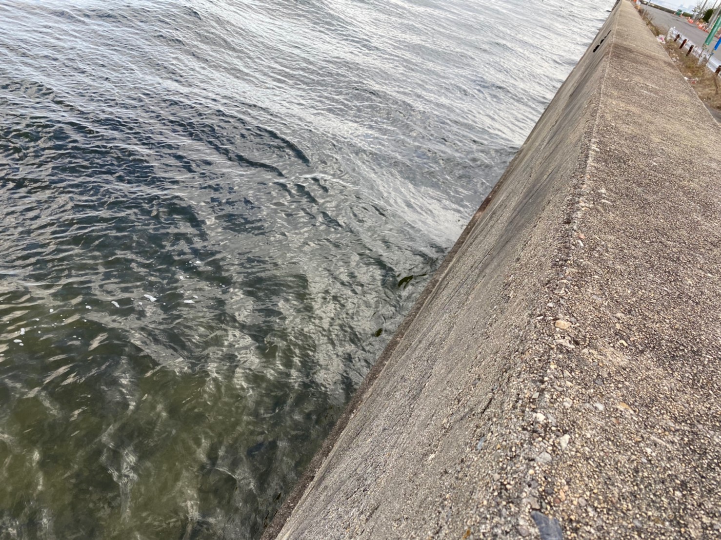 半田緑地公園側 衣浦トンネル周辺 の釣り場情報 駐車場 釣れる魚 東海釣りwalker