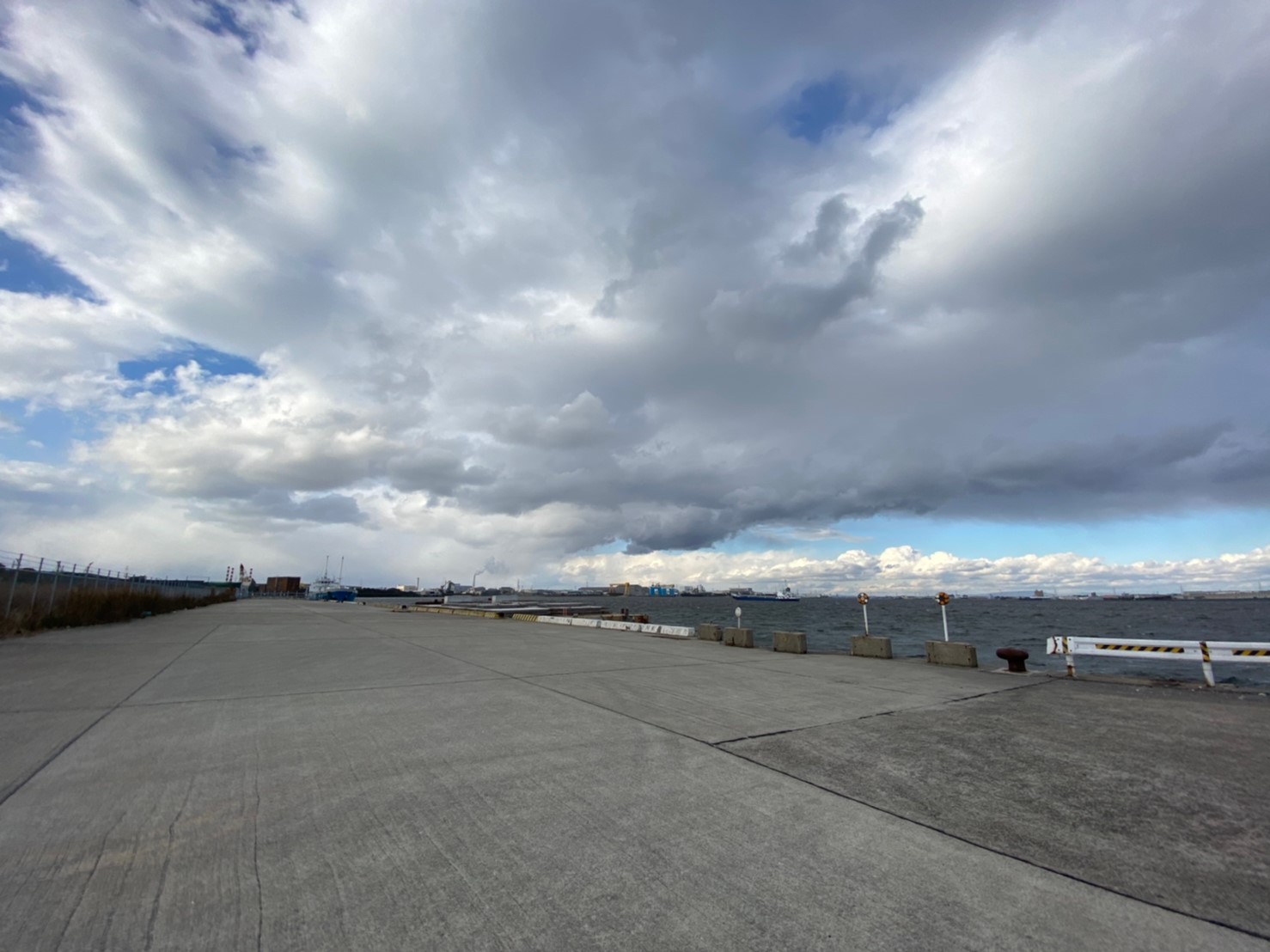 半田緑地公園側 衣浦トンネル周辺 の釣り場情報 駐車場 釣れる魚 東海釣りwalker