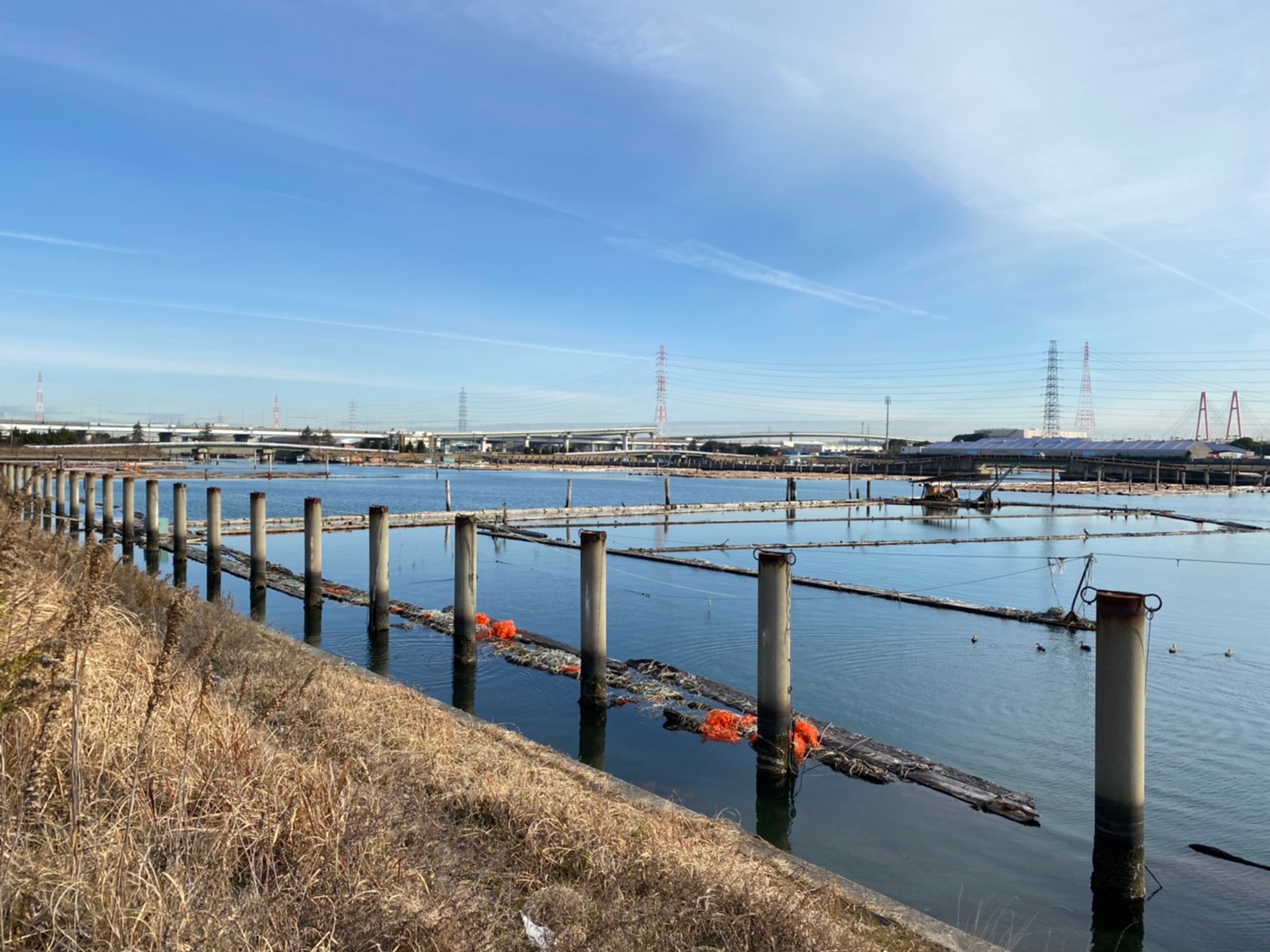 クロダイ スズキに定評 飛島村 飛島埠頭 とびしまふとう の釣り場ガイド 駐車場 釣れる魚 東海釣りwalker