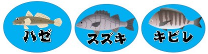 『矢崎川河口：やざきがわかこう』の釣り場ガイド（駐車場・トイレ・釣れる魚）
