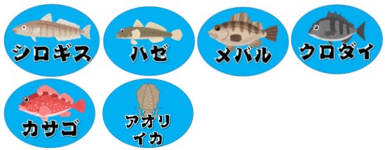 【釣れる魚が豊富】『倉舞港・松島突堤』の釣り場情報（駐車場・トイレ・アクセス）