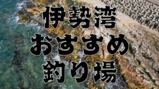 【完全攻略!】愛知県『伊勢湾』エリアのおすすめ釣り場22スポットまとめ