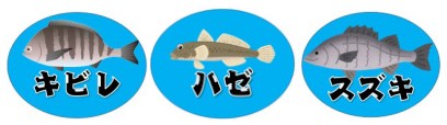 【浜名湖・細江湖】『都田川周辺エリア』の釣り場ガイド（釣れる魚・駐車場）