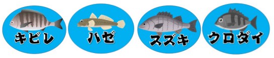 【浜名湖】『舘山寺エリア』の釣り場ガイド（釣れる魚・駐車場）