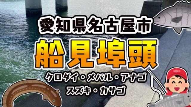 【年中釣れる！名古屋市】『船見埠頭：ふなみふとう』の釣り場ガイド（駐車場・釣れる魚）
