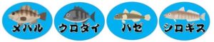 『平坂入江：へいさかいりえ』の釣り場情報（住所・駐車場・釣れる魚）