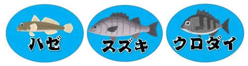 【夜釣りに大人気】『堀川＆山崎川河口』の釣り場ガイド（駐車場・釣れる魚）