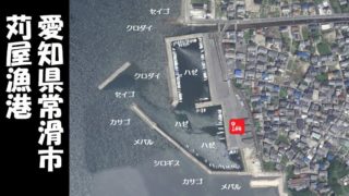 【ハゼ釣り一番!常滑市】『苅屋漁港:かりやぎょこう』の釣り場ガイド(駐車場・釣れる魚)