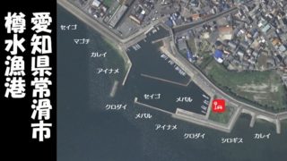 【穴場スポット|常滑市】『樽水漁港:たるみぎょこう』の釣り場ガイド(駐車場・釣れる魚)